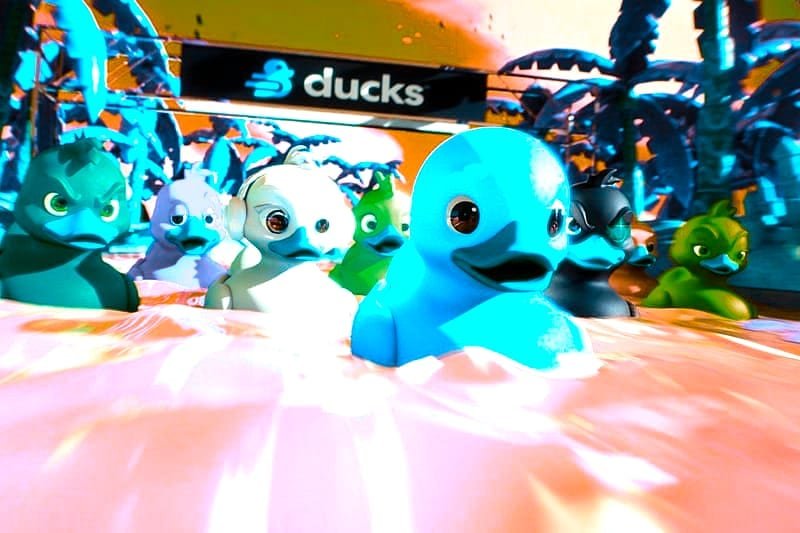 CCTV Duck River ce qu'il faut savoir – Les 4 types de paris : chiffres et logique